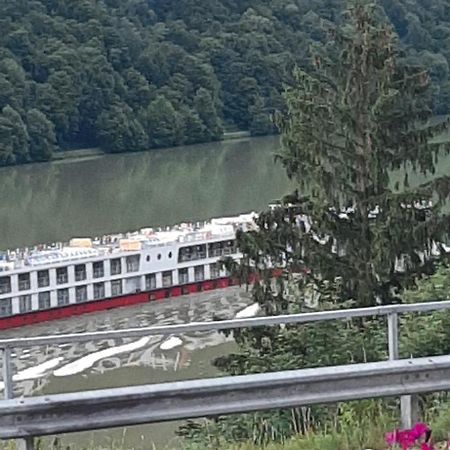 Gasthaus Zur Blauen Donau Wesenufer Exteriör bild